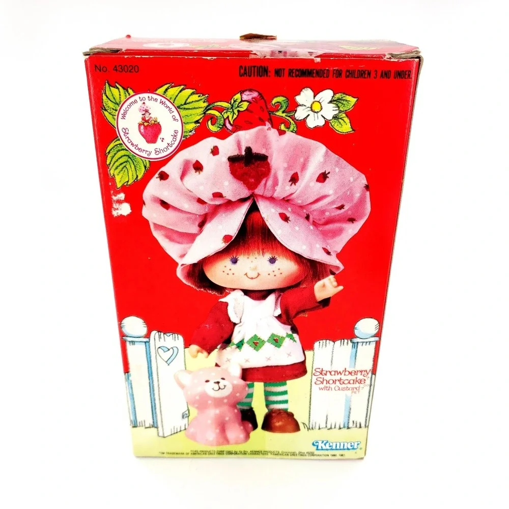 Vintage Strawberry Shortcake Doll w/ Custard 43020 Complete In Box Kenner